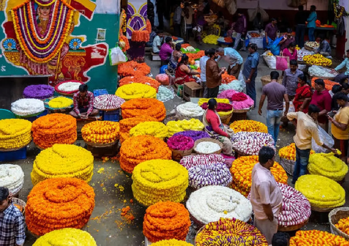 Flower traders deny KR Market link to new GKVK cut-flower hub - News Karnataka