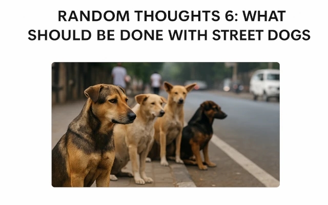 Random Thoughts 6: What should be done with Street Dogs? - News Karnataka