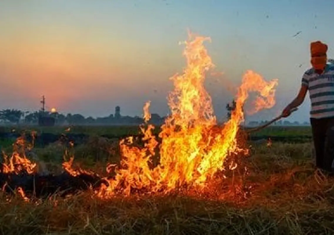 Stubble burning begins with 64 farm fires in Punjab, Haryana and UP - News Karnataka