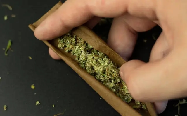 Two men from Bihar held with ganja worth ₹75,000 in Mangaluru - News Karnataka
