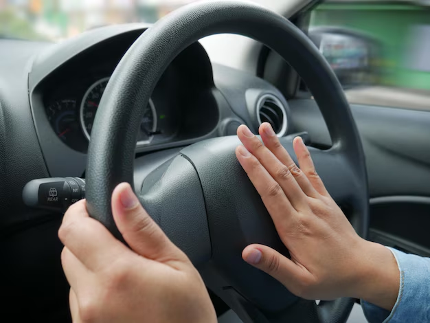 American woman’s witty take on Bengaluru’s honking etiquette goes viral - News Karnataka