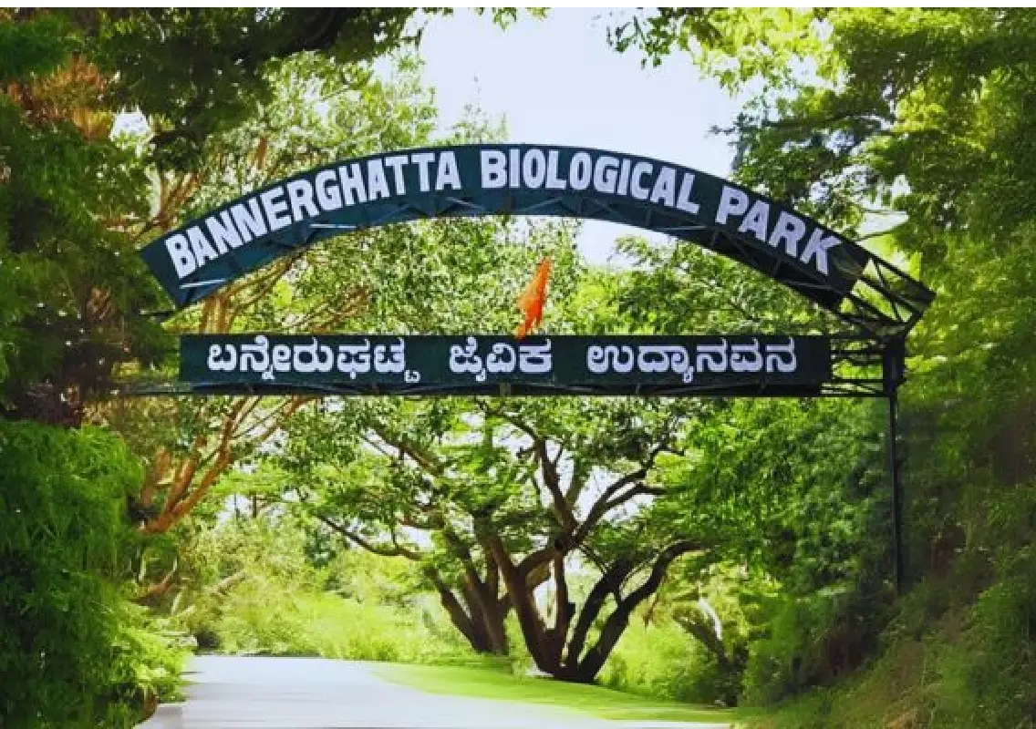Bannerghatta Biological Park to become India’s first fully solar-powered zoo - News Karnataka