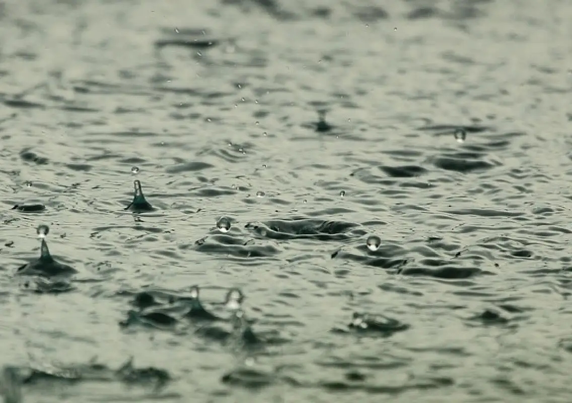 Bengaluru sees cool, cloudy day with high chance of rain - News Karnataka