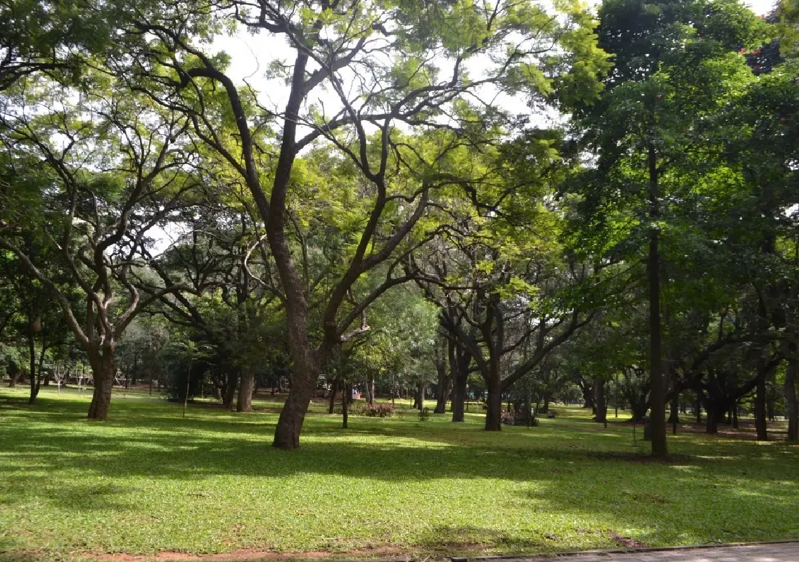 Cubbon Park nature walks thrive, but Lalbagh tour delayed over shortage of naturalists - News Karnataka