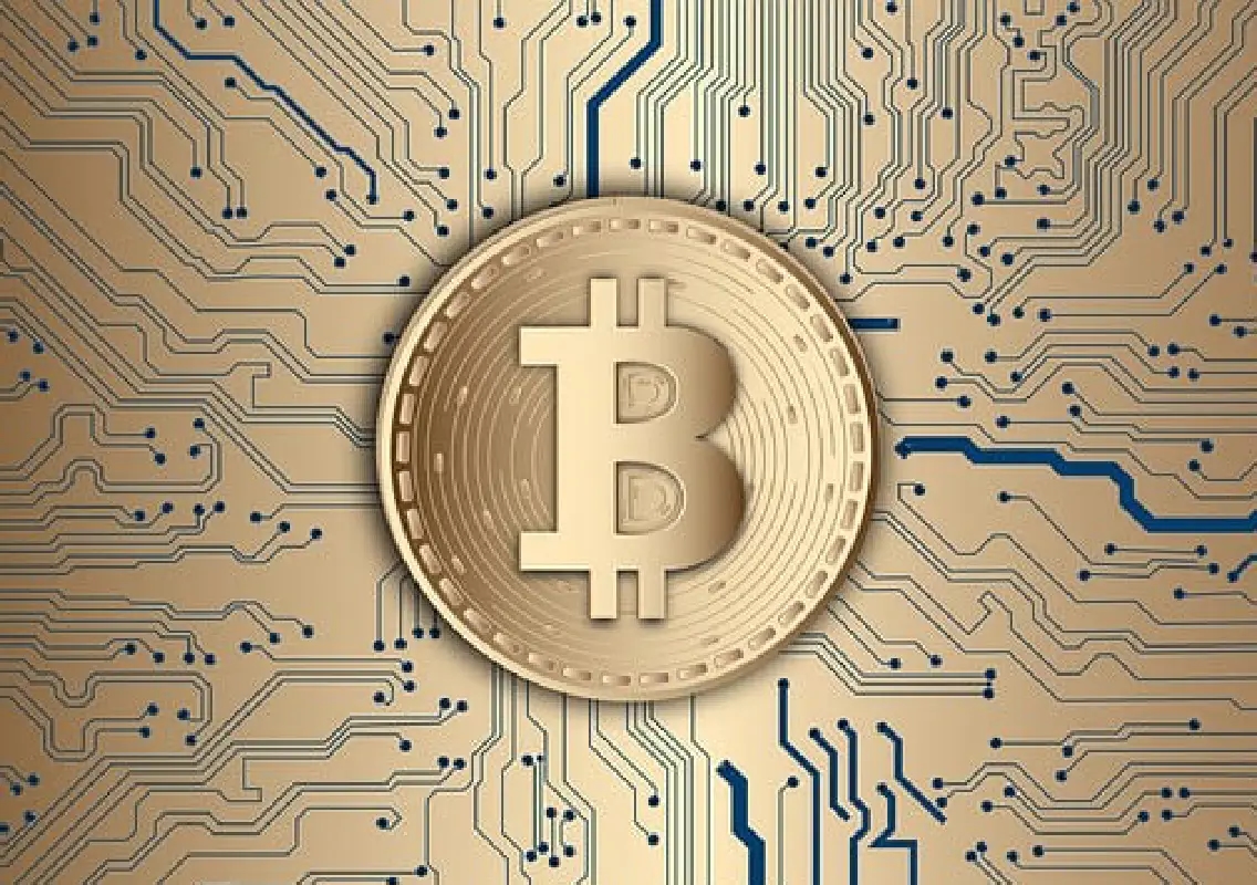 DOJ seizes $15 billion in bitcoin from global ‘pig butchering' scam network - News Karnataka