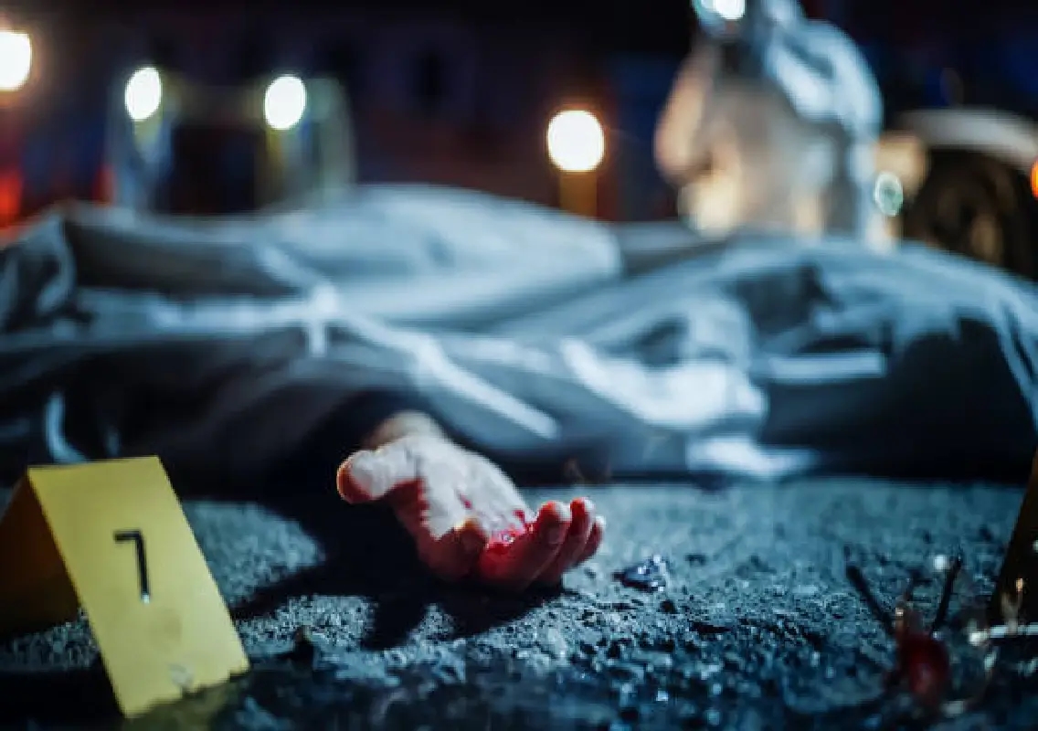 Delhi insurance agent killed in love triangle; fiancée and partner held - News Karnataka