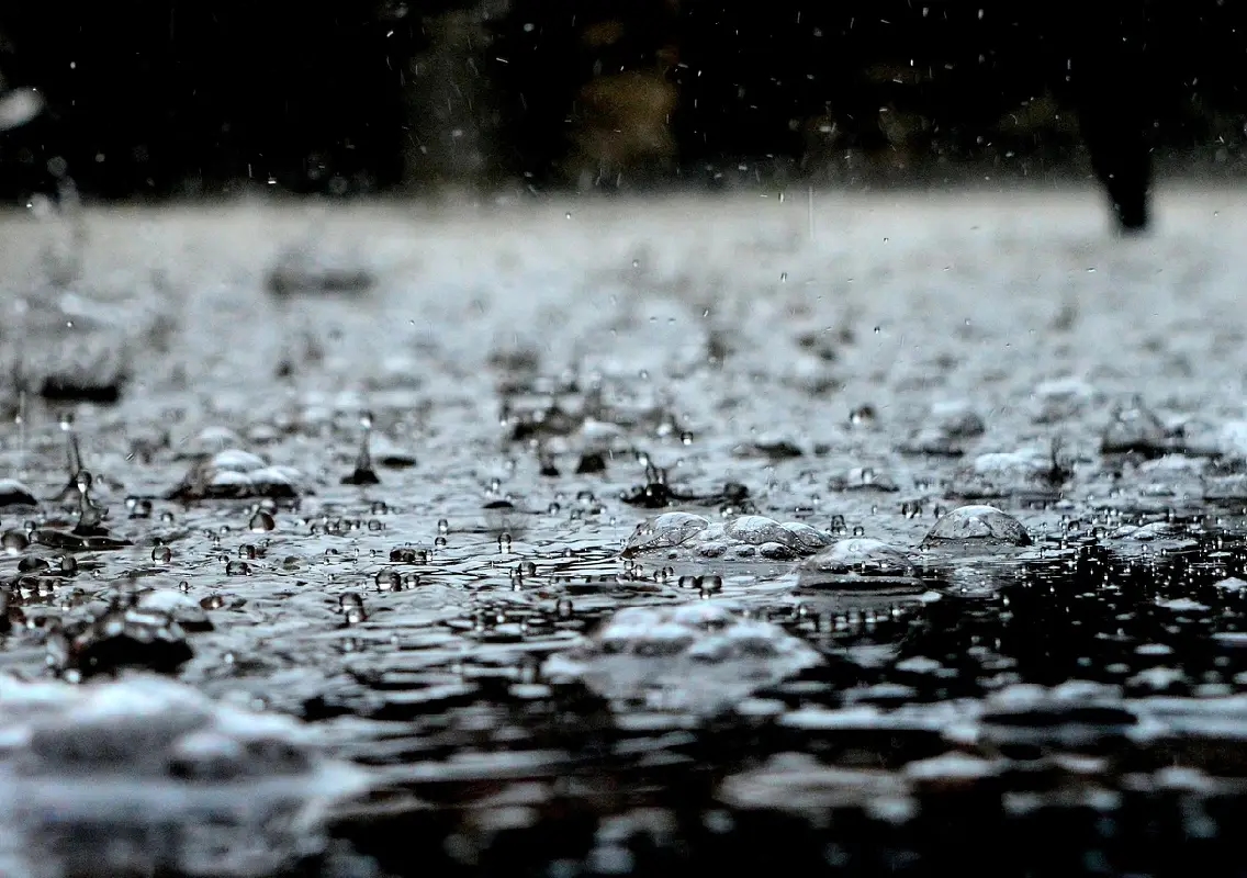 Rain brings relief to Delhi; temperatures drop 7.7°C below normal - News Karnataka