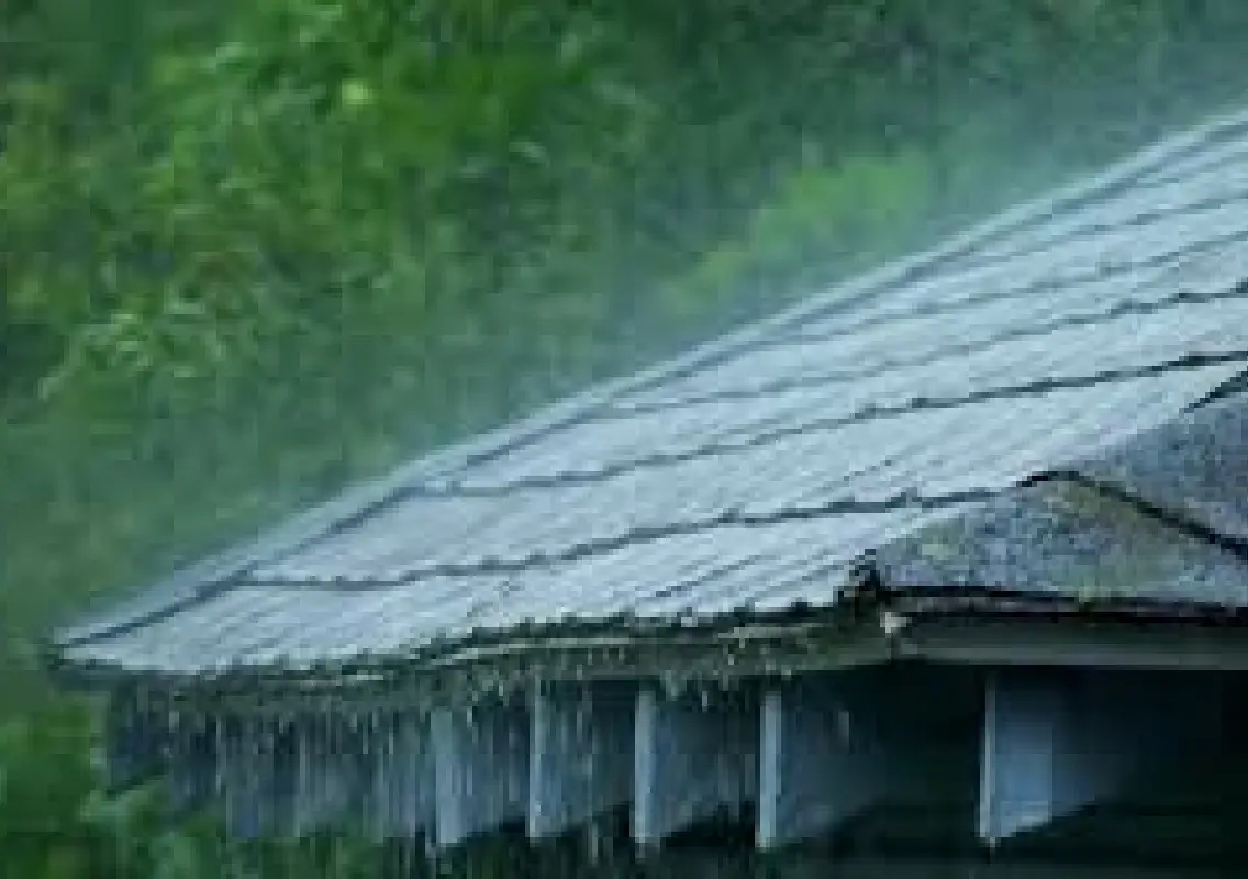 Karnataka on alert as heavy rains forecast for the coming week - News Karnataka