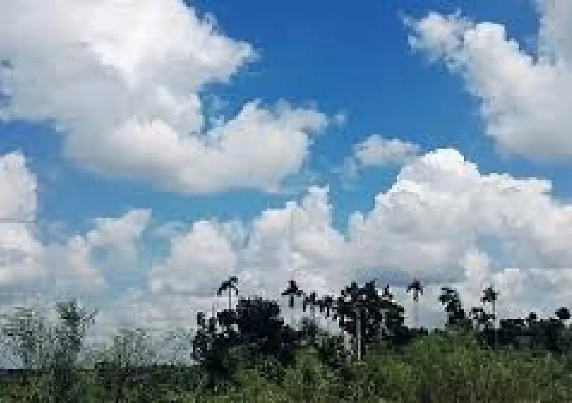 Pleasant, partly cloudy start to November for Bengaluru - News Karnataka