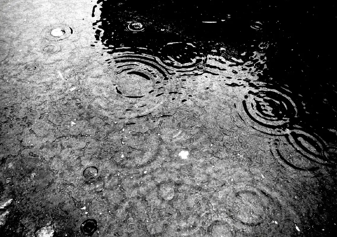 South India weather forecast: Thundershowers and thunderstorms expected on October 2 - News Karnataka