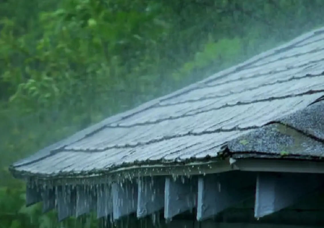 South India weather forecast: Rain and storms today - News Karnataka