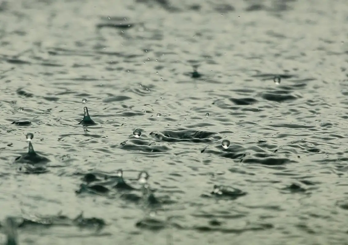 Widespread rain and thunderstorms forecast across southern India this week - News Karnataka