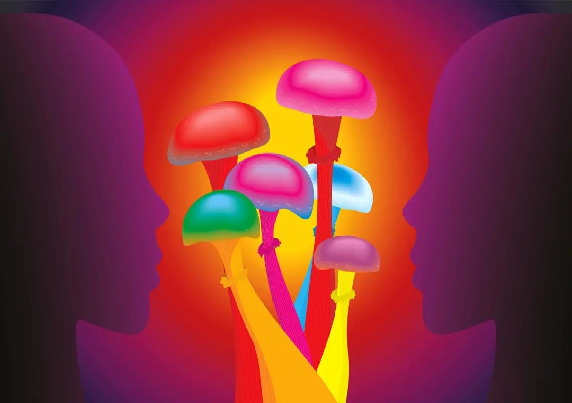 NCB seizes ₹50 crore hydroponic ganja and magic mushrooms at Bengaluru airport - News Karnataka