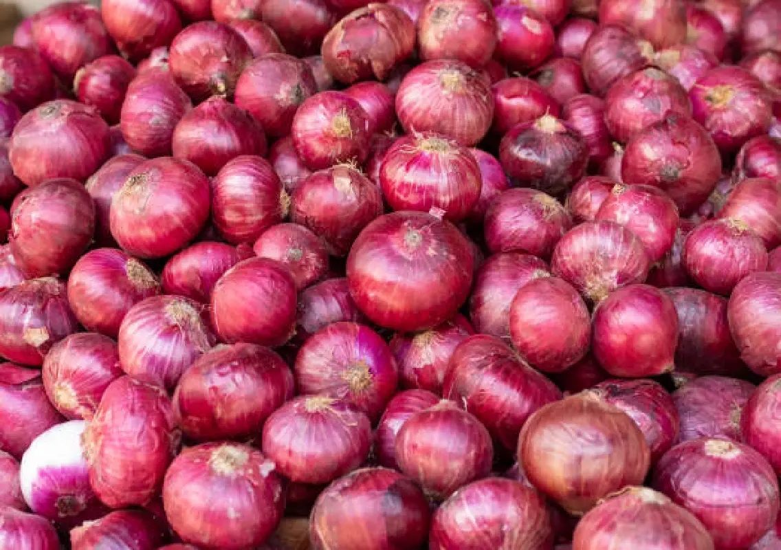 Retail onion prices drop below Rs 10 per kg, farmers seek MSP reforms - News Karnataka