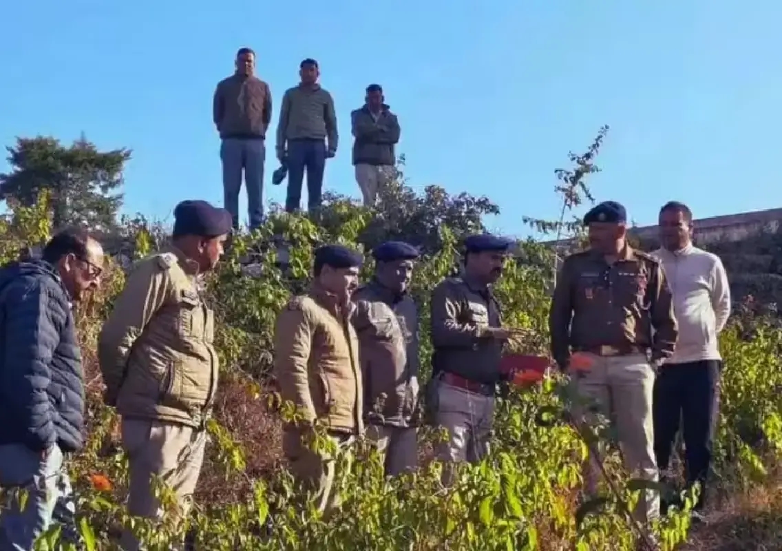 161 gelignite sticks found near two schools in Almora; major probe launched - News Karnataka