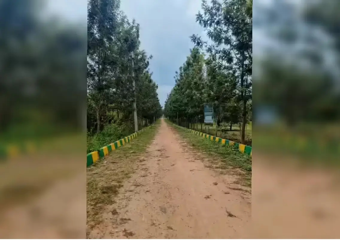 700m stretch of Peripheral Ring Road to cut through Jarakabande Kaval forest - News Karnataka