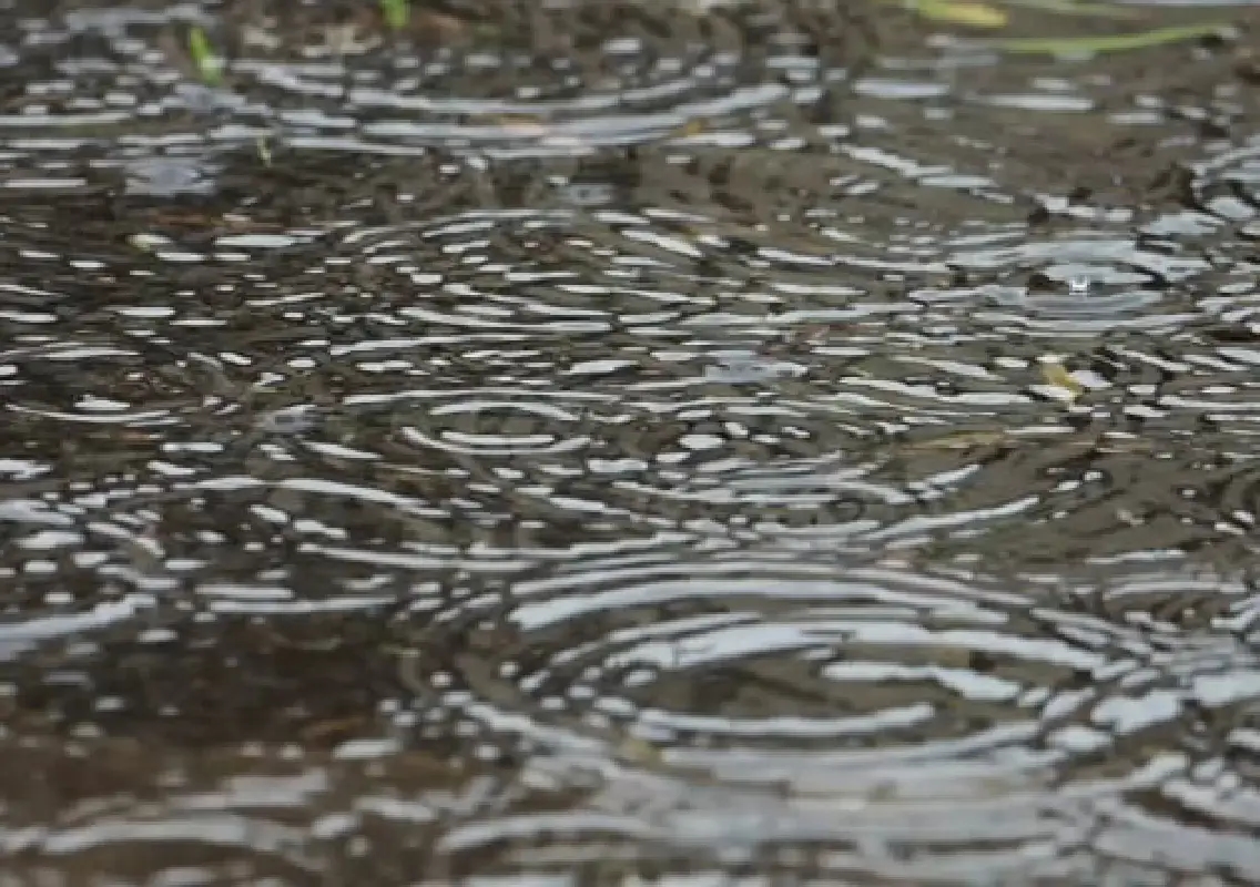 Cloudy skies, light rain forecast for Bengaluru over next 48 hours - News Karnataka