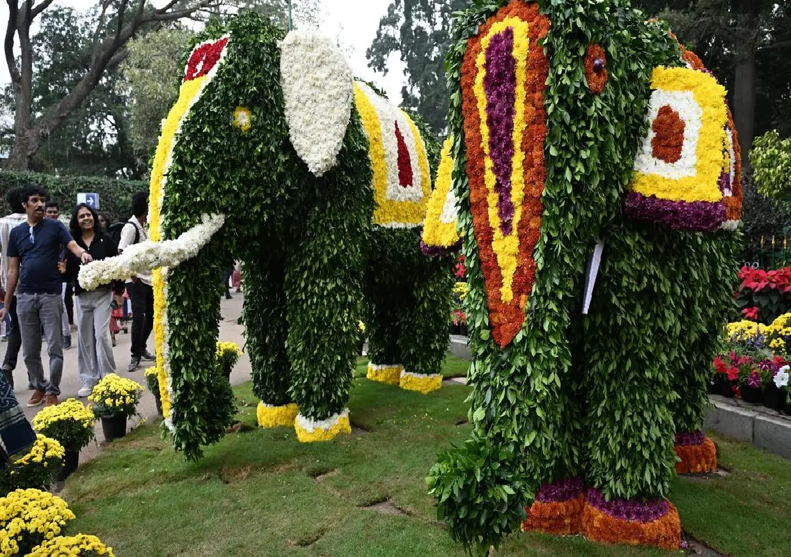 Cubbon Park flower show opens with over 33,000 visitors on day one - News Karnataka