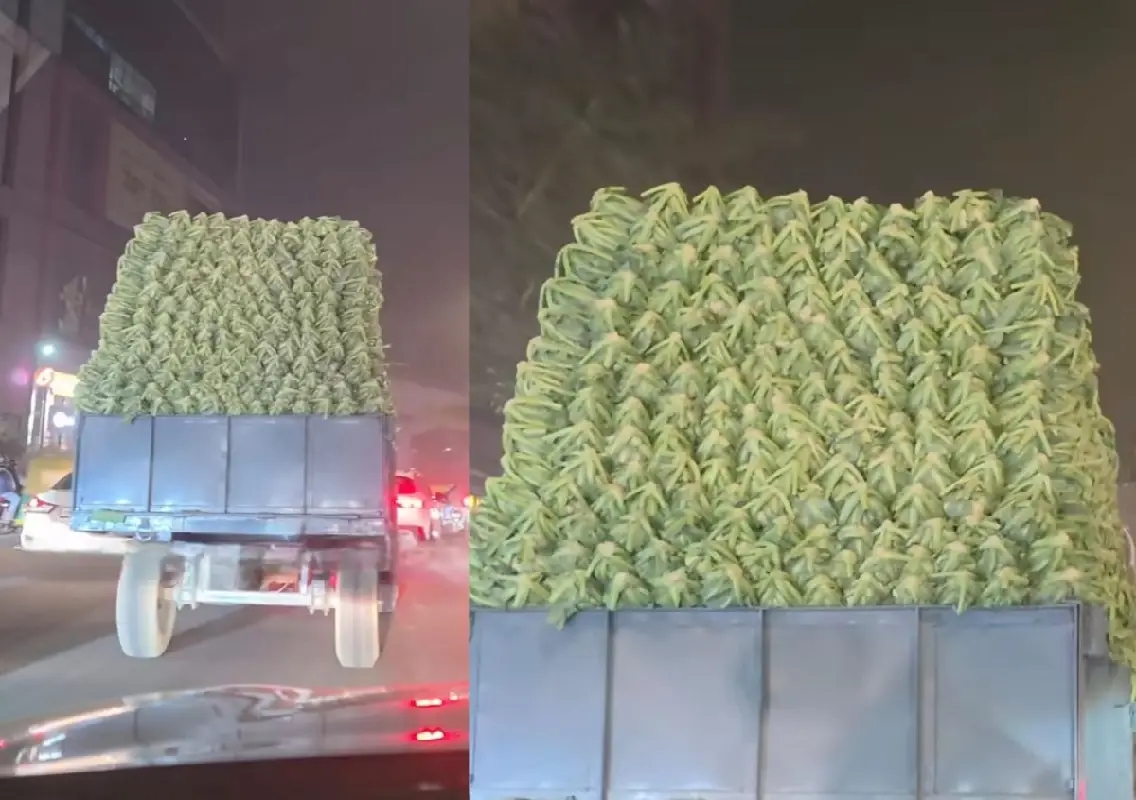 Delhi’s bizarre cauliflower transport leaves internet amused and worried: WATCH - News Karnataka