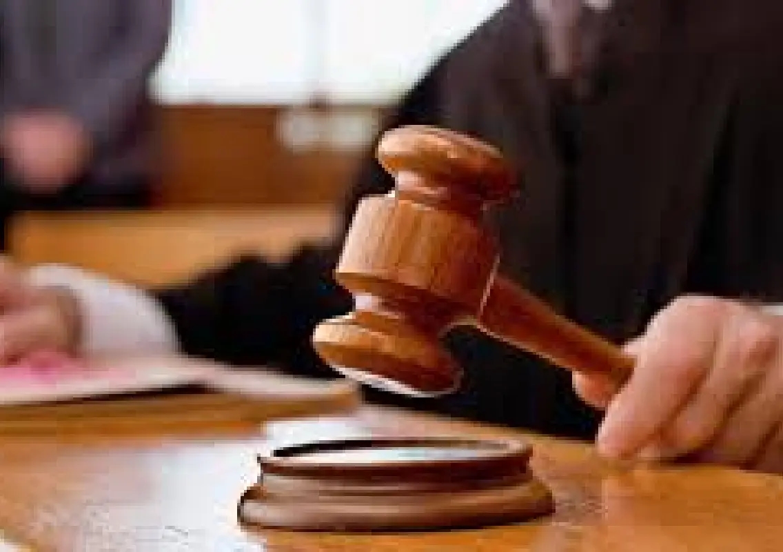 Husband moves Gujarat High Court seeking divorce over stray dog disputes - News Karnataka