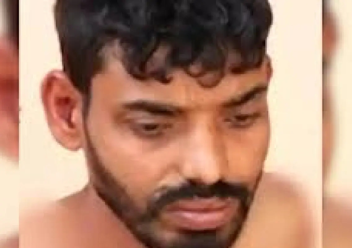 Stray dog menace resurfaces in north Bengaluru: 33-year-old man attacked in Kempegowda Layout - News Karnataka