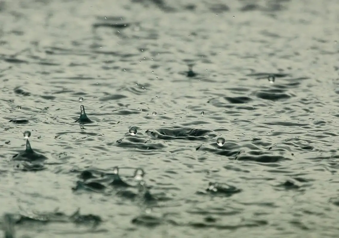 Tamil Nadu on alert as heavy rain forecast in 15 districts today - News Karnataka