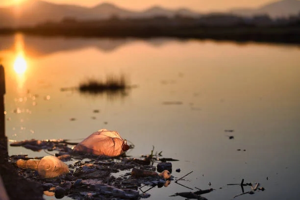 Bengaluru lakes face alarming pollution amid unchecked urbanisation - News Karnataka