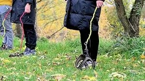 ‘Hobby dogging’ trend in Germany leaves internet baffled - News Karnataka