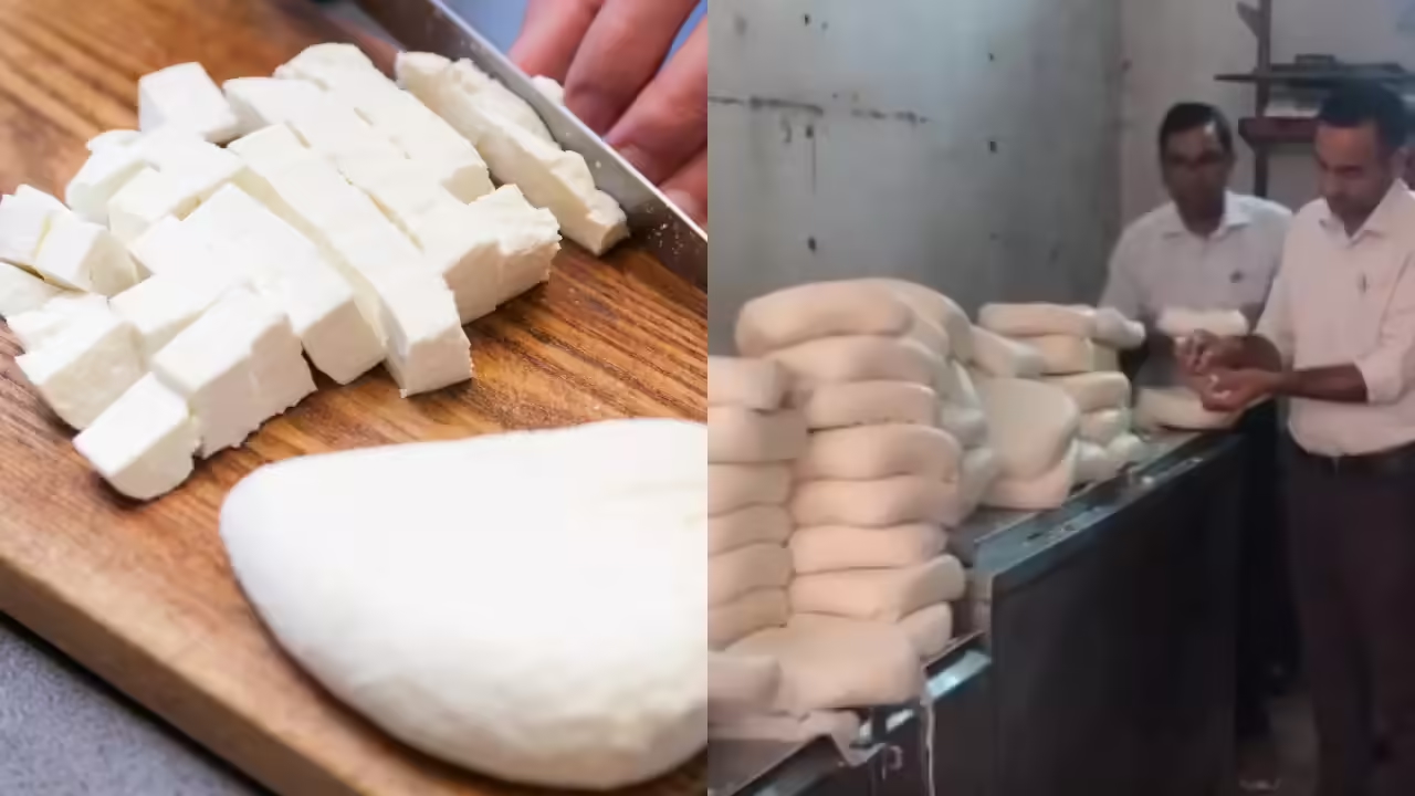 450 kg fake paneer seized, destroyed in Chhattisgarh food safety raid - News Karnataka