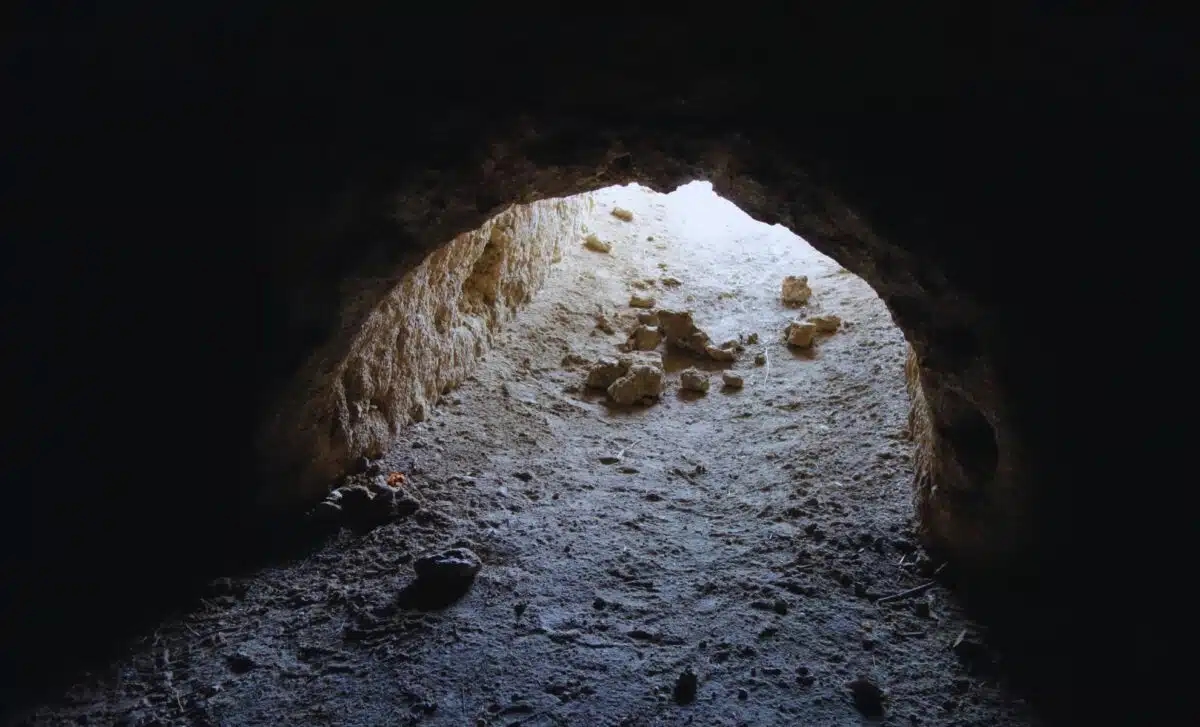 Ancient underground tunnels in South America puzzle scientists - News Karnataka