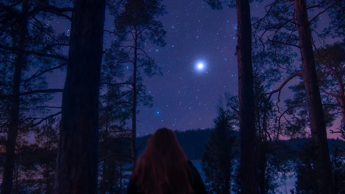 Bright Jupiter lights up Christmas sky, recalls Star of Bethlehem - News Karnataka
