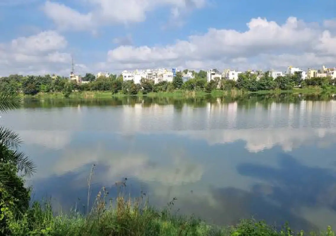 DC orders continuous patrolling to protect lakes in Dakshina Kannada - News Karnataka