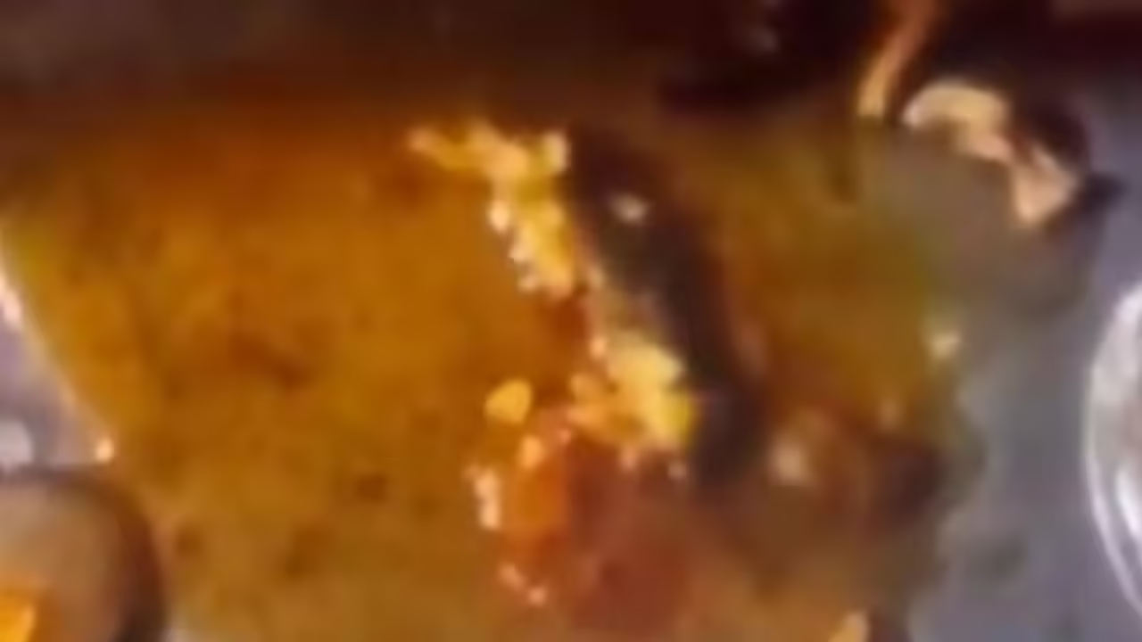 Dead lizard found in Zomato chicken curry shocks Meerut diner - News Karnataka