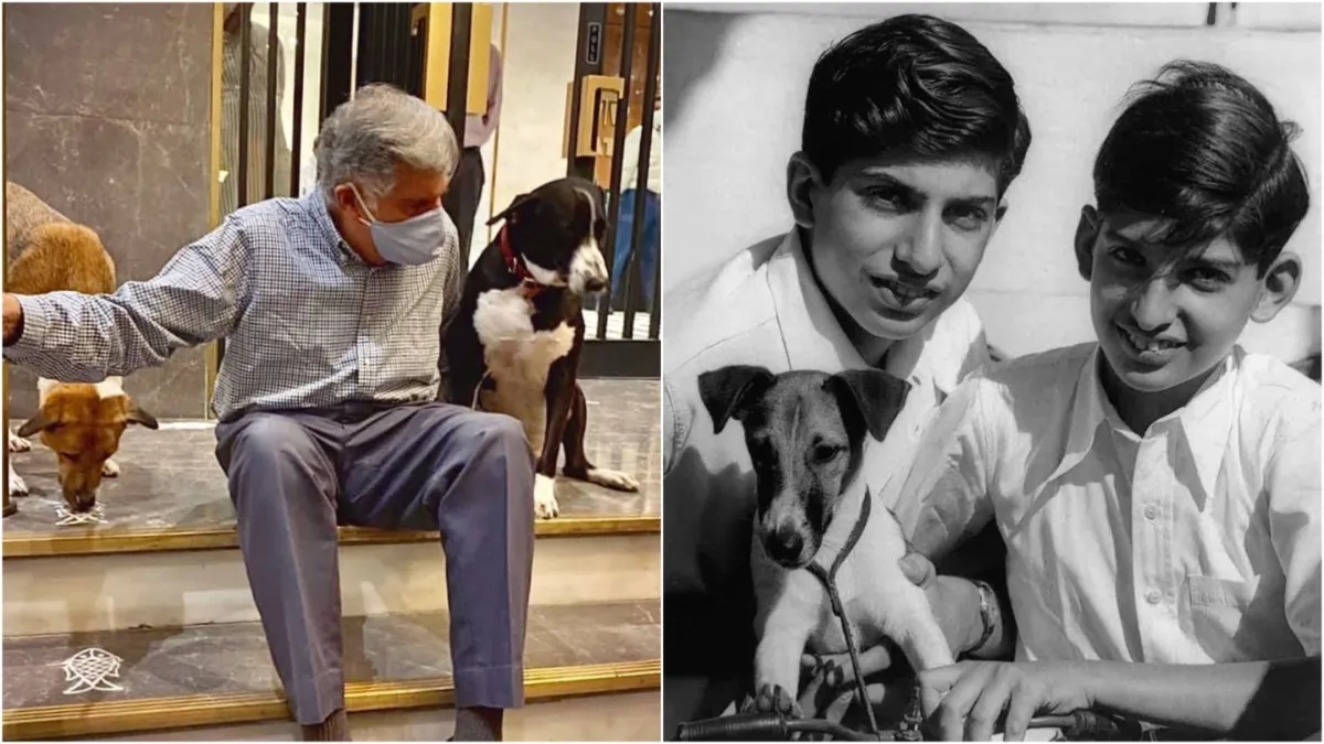 Dogs in Delhi store spark talk on kindness and Ratan Tata’s legacy - News Karnataka