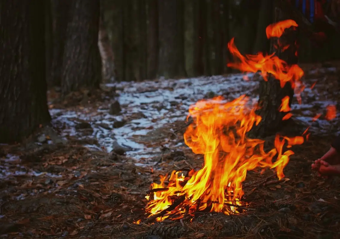 Elderly woman set on fire by son in Bhadrak; accused absconding - News Karnataka