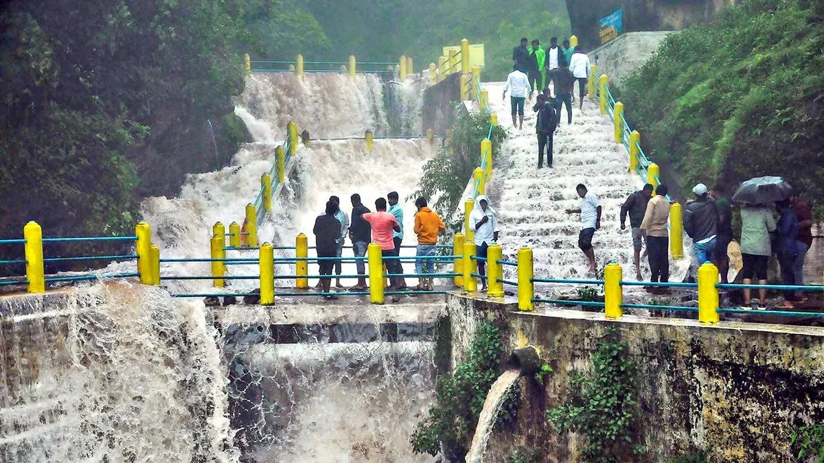 Forest tourism curbs hit Mysuru, Chikkamagaluru as Kodagu booms - News Karnataka
