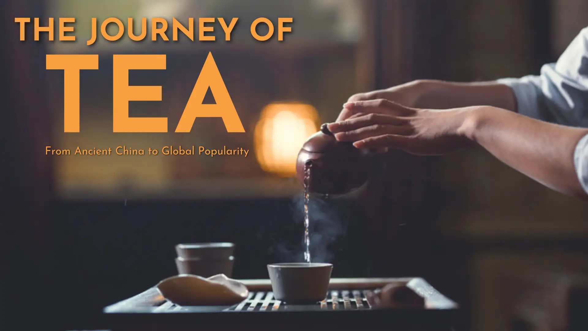 How tea’s ancient journey explains the power of global connection - News Karnataka
