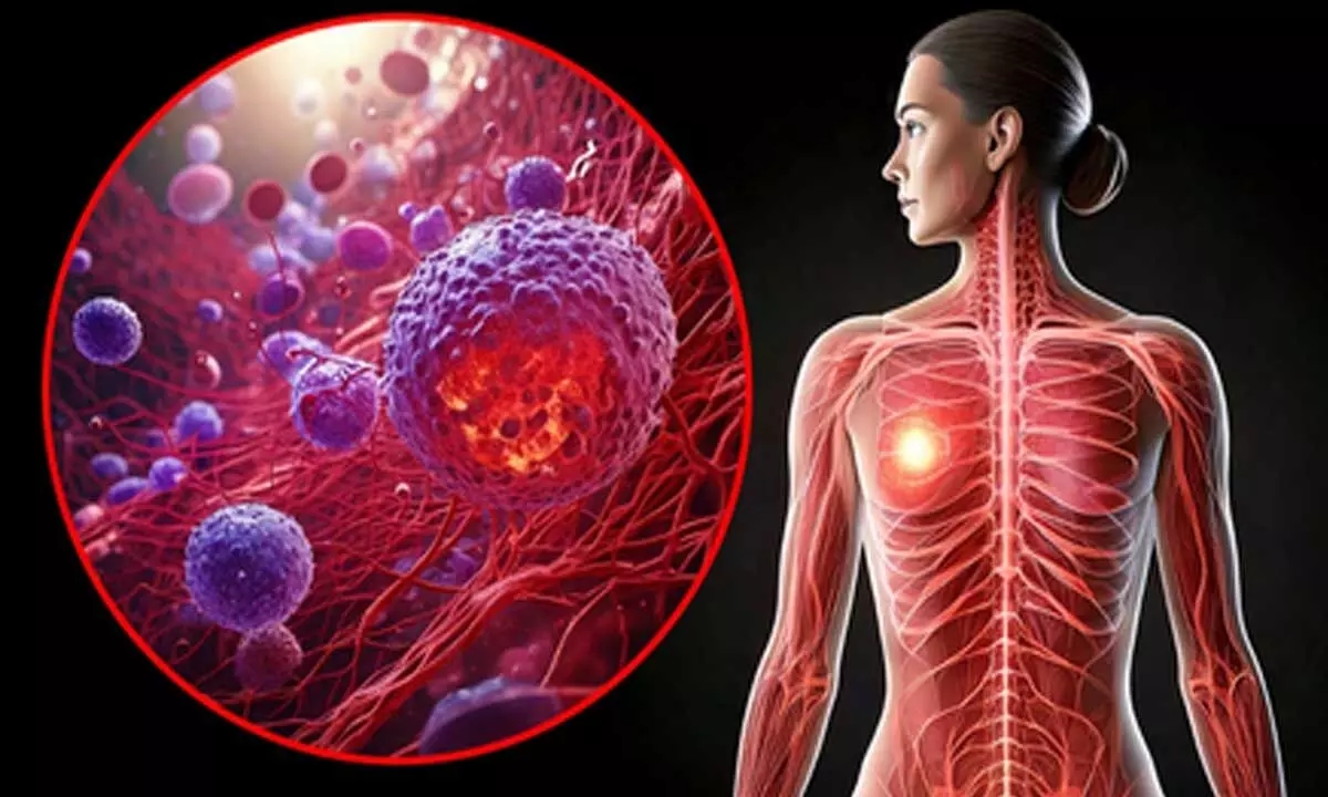IIT Madras develops nanotech platform for safer breast cancer treatment - News Karnataka