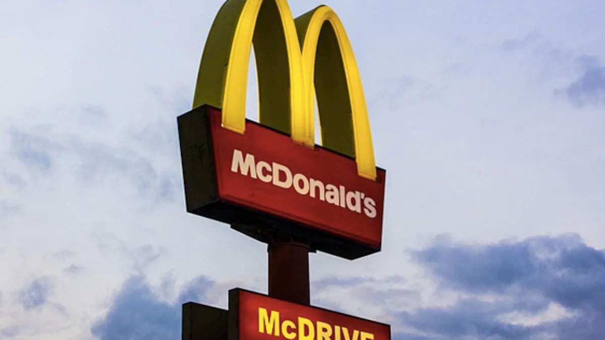 Indians add a local touch to global food, says US vlogger after McDonald’s India visit - News Karnataka