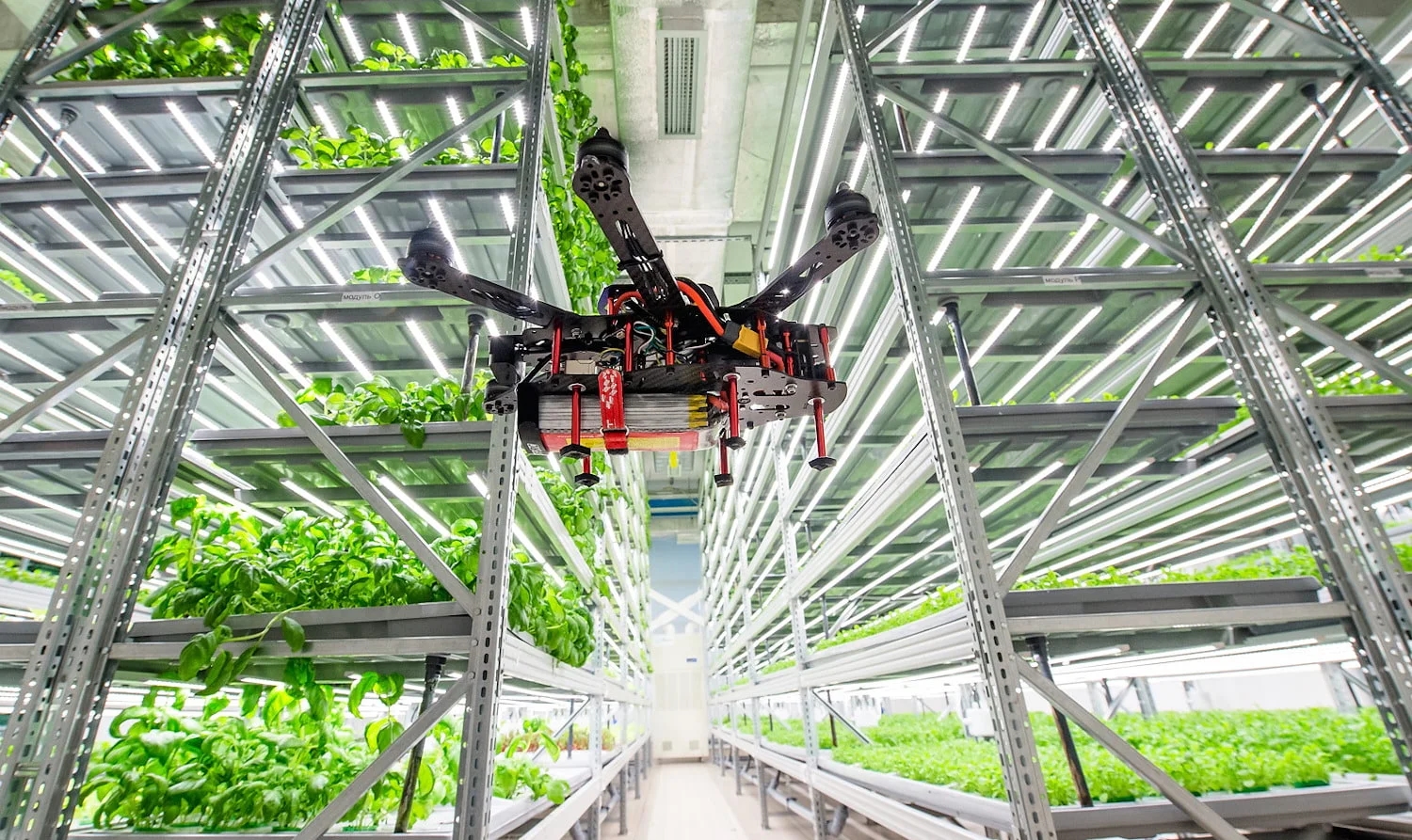 Inside startups, ‘aura farming’ turns into a full-time job - News Karnataka