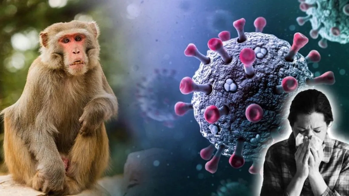 KFD cases detected early in Karnataka, health department on alert - News Karnataka