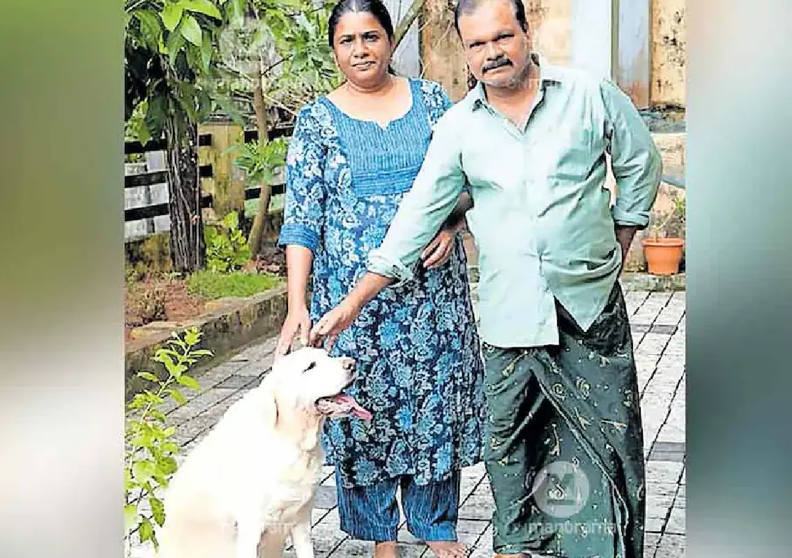 Labrador survives viper bite and becomes neighbourhood hero in Kottayam - News Karnataka