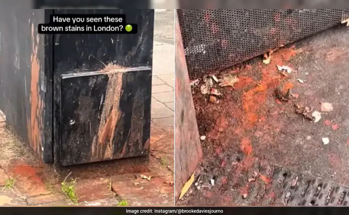 London’s paan stains spark debate after journalist’s viral video - News Karnataka
