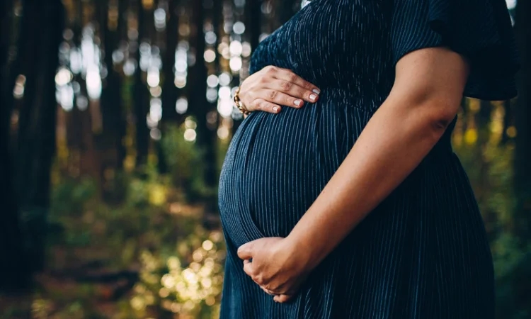 Madhya Pradesh HC allows minor rape survivor to continue pregnancy - News Karnataka