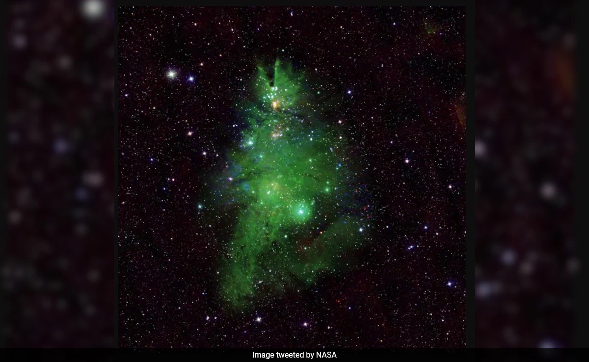 NASA shares cosmic ‘Christmas tree’ nebula to mark festive season - News Karnataka