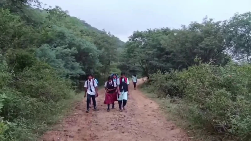Village students walk 14 km daily through forest, seek safe transport - News Karnataka