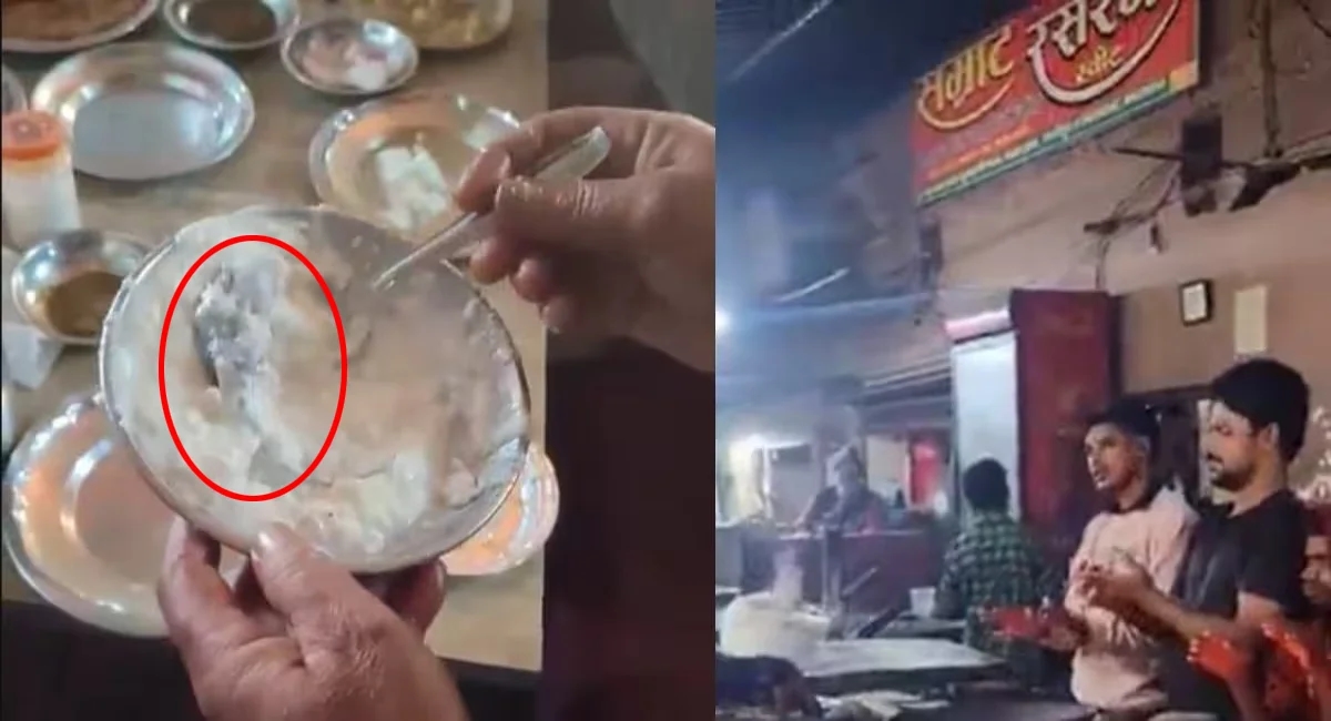 Restaurant sealed after dead rat found in curd in Ghazipur - News Karnataka