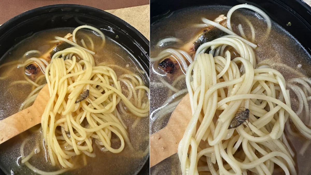 Roasted cockroach found in noodles at Visakhapatnam restaurant; customers alert food safety officials - News Karnataka