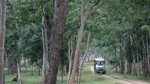 Safari ban leaves Bandipur, Nagarahole resorts struggling ahead of holidays - News Karnataka