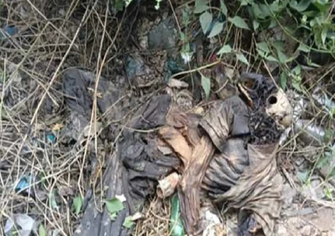 Skeletal remains of unidentified man found near Ambalpady highway - News Karnataka
